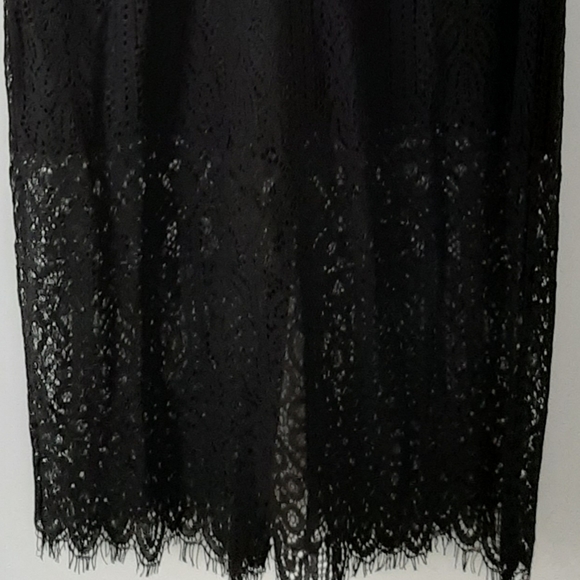 Eyelash Lace Panel Dress - Picture 6 of 6